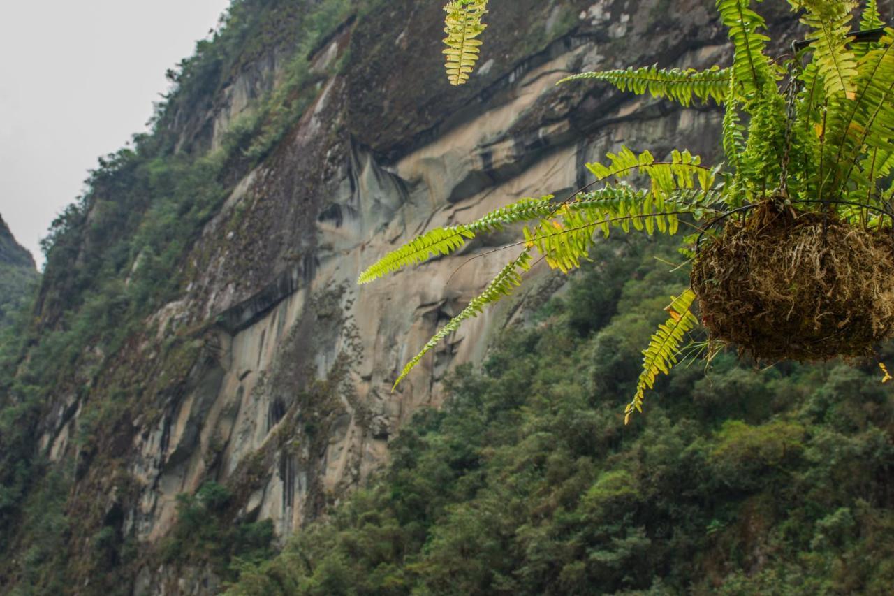 Runas Inn Machupicchu Esterno foto